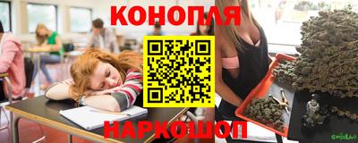 трава Новозыбков