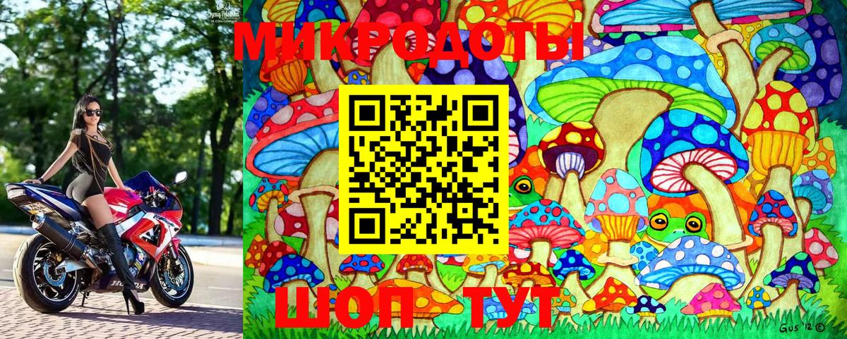 Галлюциногенные грибы Magic Shrooms Новодвинск