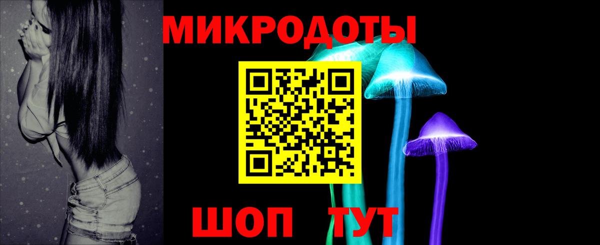 Псилоцибиновые грибы ЛСД  Псилоцибиновые грибы мицелий  Вход с VPN  Новодвинск 